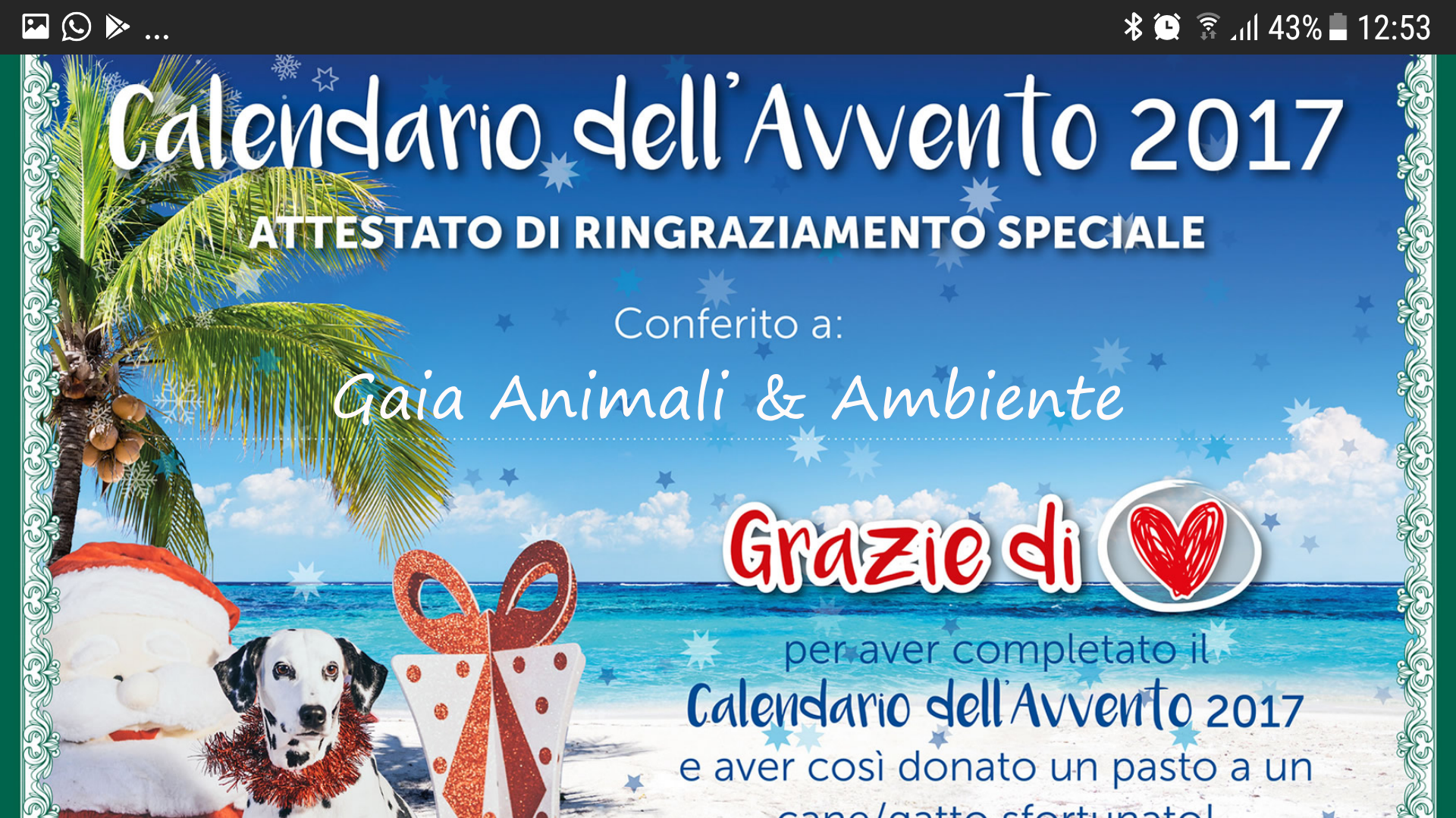 cal innovet attestato gaia  ok26195263_911406985676109_1899467502_o - copia
